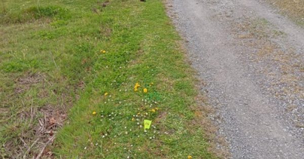 diagnostic-avant-travaux-obligatoire-telecom