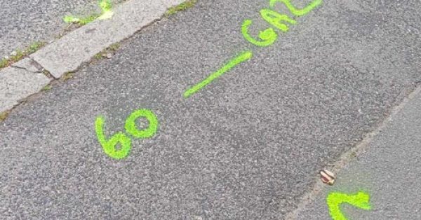 Investigations complémentaires dict : inspection de voirie lors d’une opération préalable à la réception d’un chantier urbain.